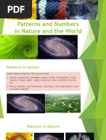 Types of Patterns in Nature Explained | PDF