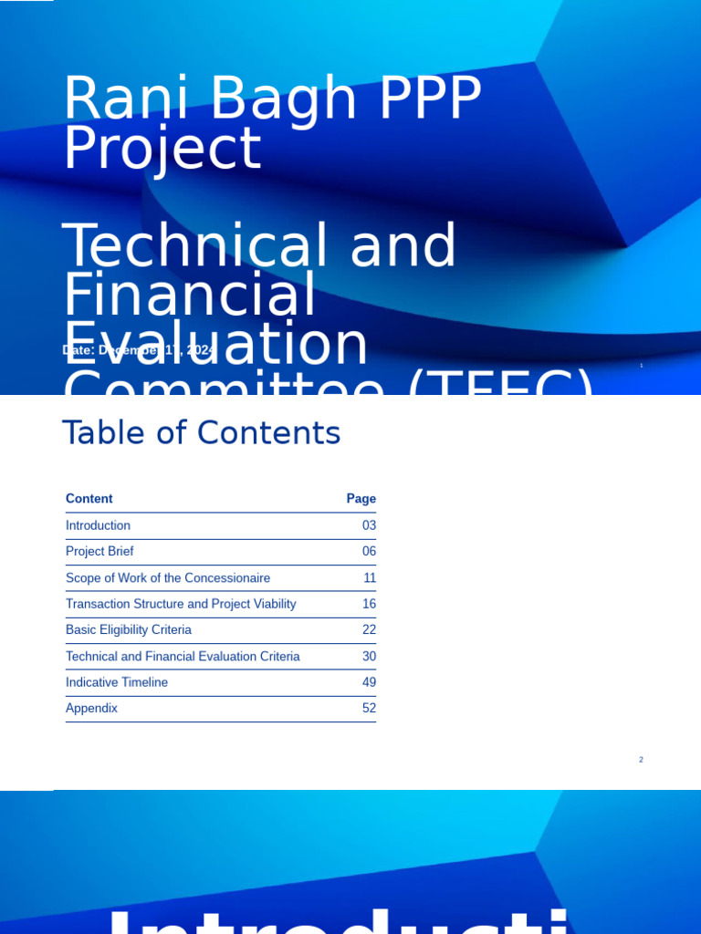 Rani Bagh PPP Project Evaluation Report | PDF | Capital Structure ...