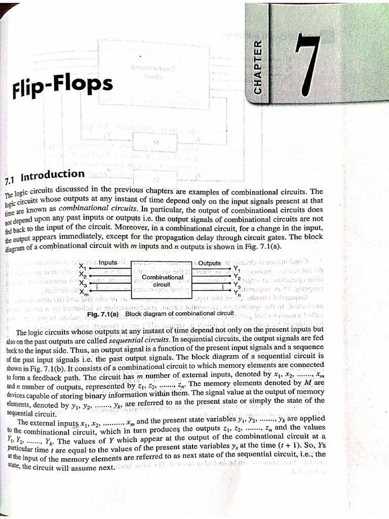 Flip Flops 1 Pdf