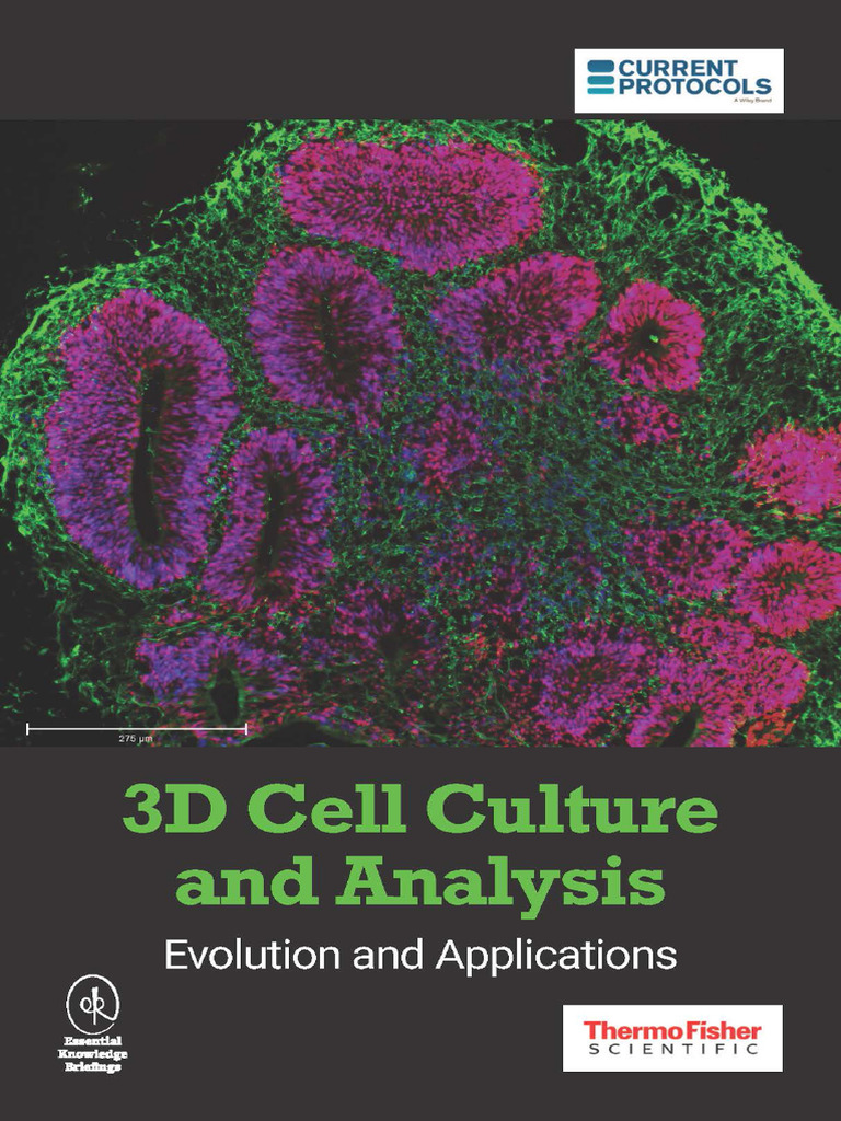 3d Cell Culture Analysis Applications Ebook | PDF | Confocal Microscopy ...