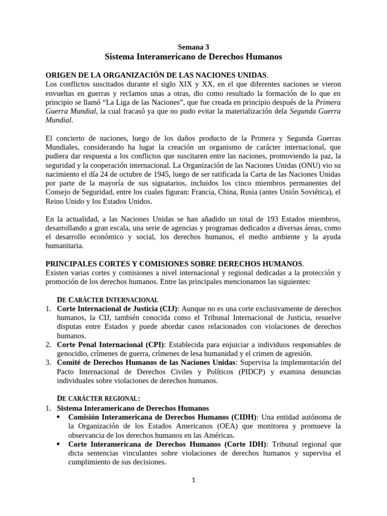 Sistema Interamericano de Derechos Humanos | PDF | Naciones Unidas ...
