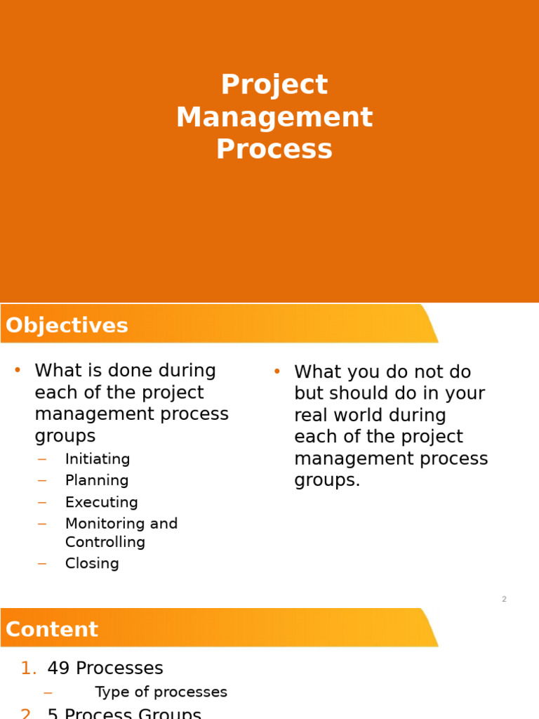 Project Management Process Overview | PDF | Project Management | Audit
