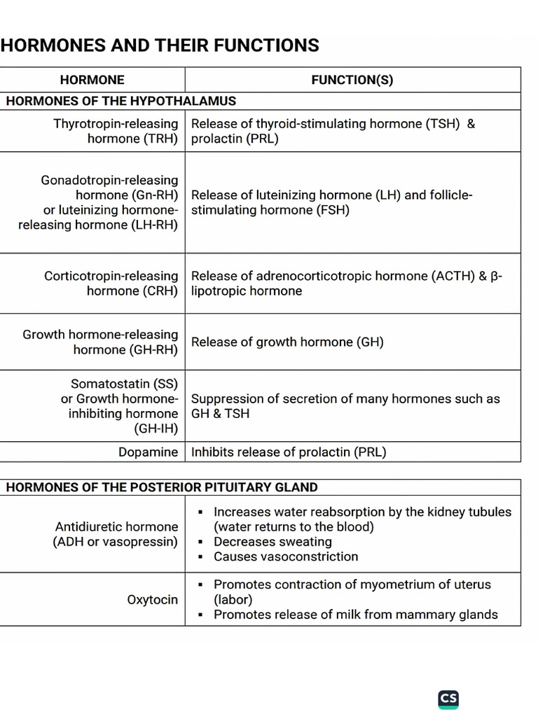 Endocrine Supplemental Notes | PDF