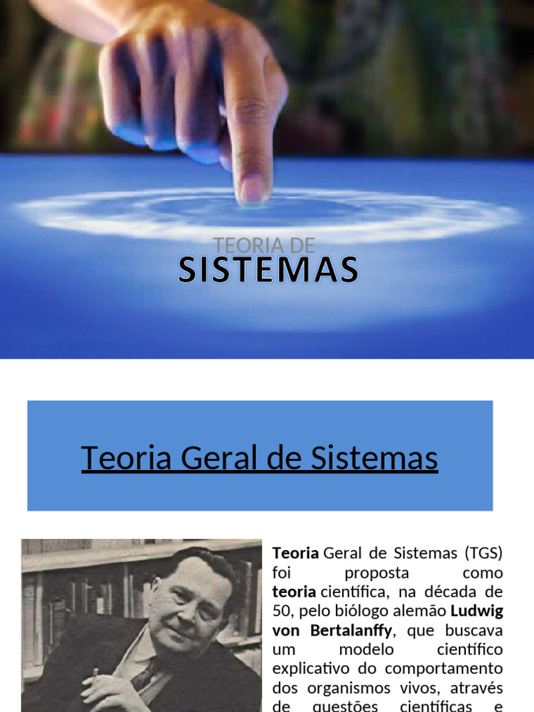 Teoria Geral de Sistemas: Conceitos e Princípios | PDF | Teoria dos ...