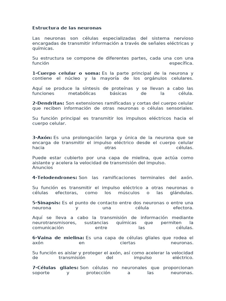Estructura y funciones de las neuronas | PDF