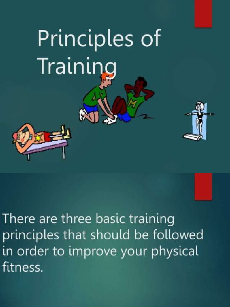 Principles Im Fitness Program | PDF