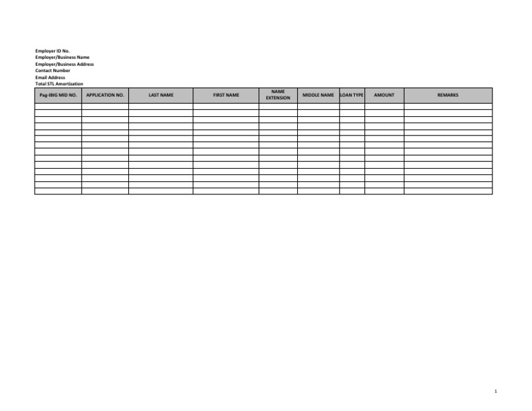 HQP-TMF-382 Loan Application Details | PDF