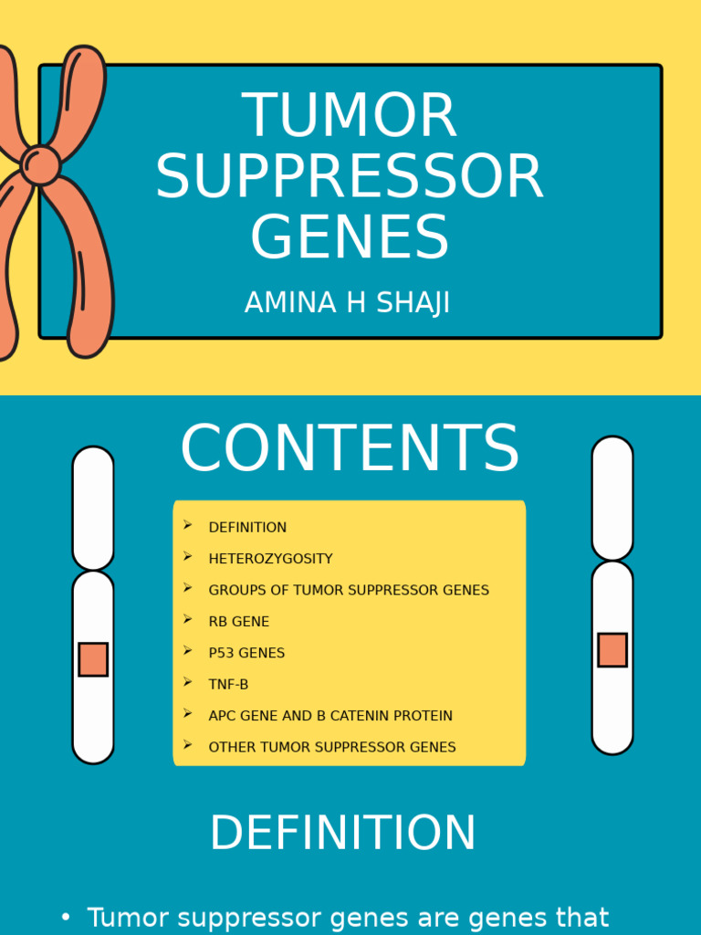 Overview of Tumor Suppressor Genes | PDF | Tumor Suppressor Gene | Cell ...