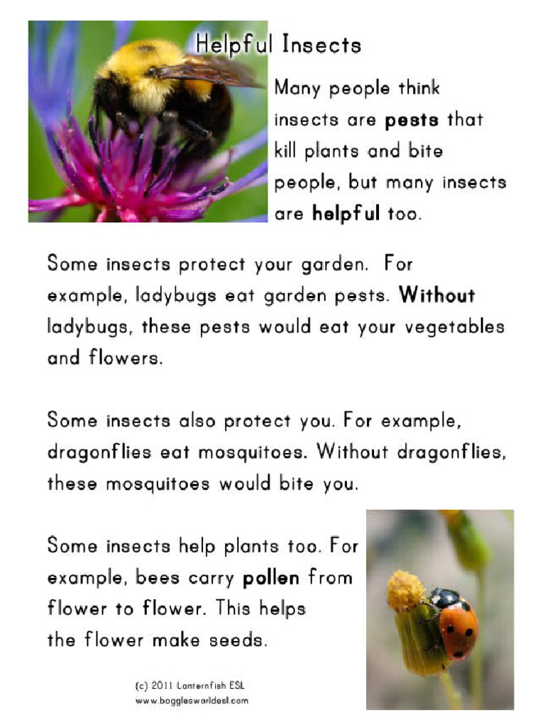 Helpful Insects TEXT | PDF