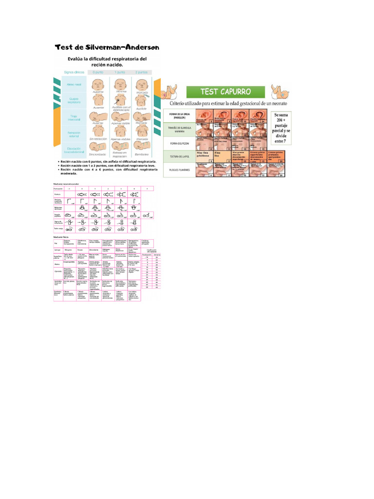 Test RN | PDF
