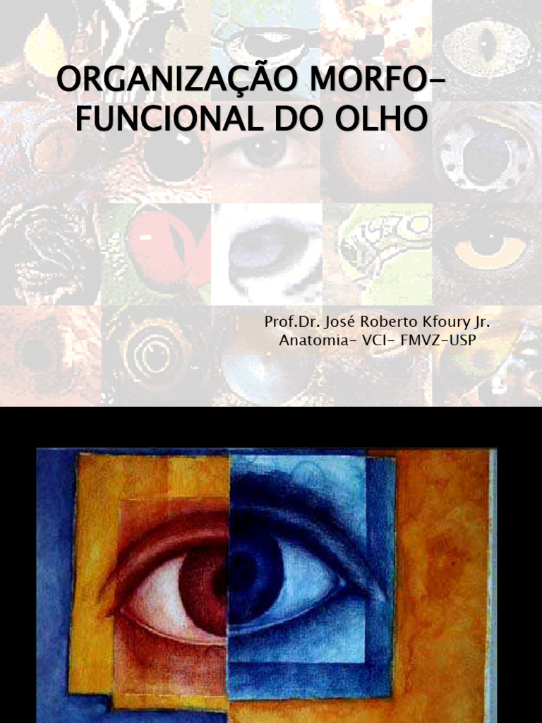 Organização Morfo-Funcional Da Visão 2020 | PDF | Olho humano | Sistema ...