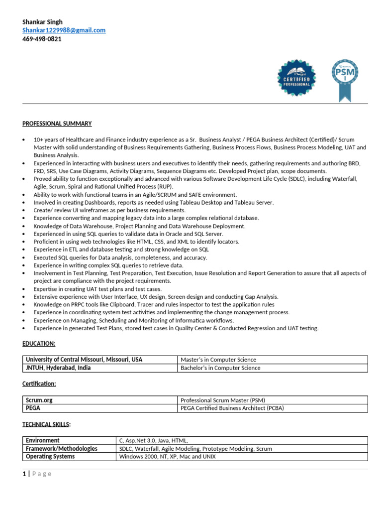 Senior Business Analyst in Healthcare & Finance | PDF | Software ...