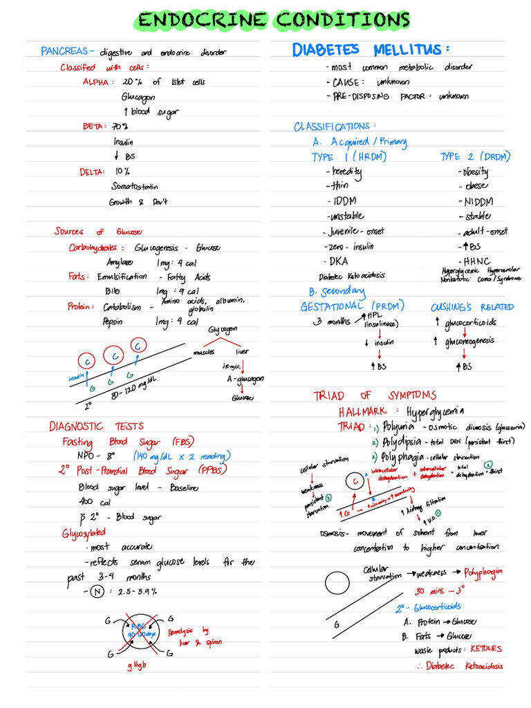 Overview of Endocrine Disorders and Diabetes | PDF | Diabetes | Thyroid