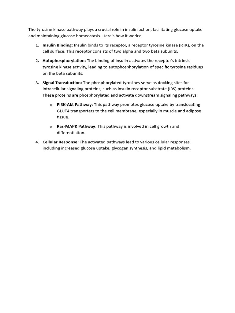 Insulin Action via Tyrosine Kinase Pathway | PDF