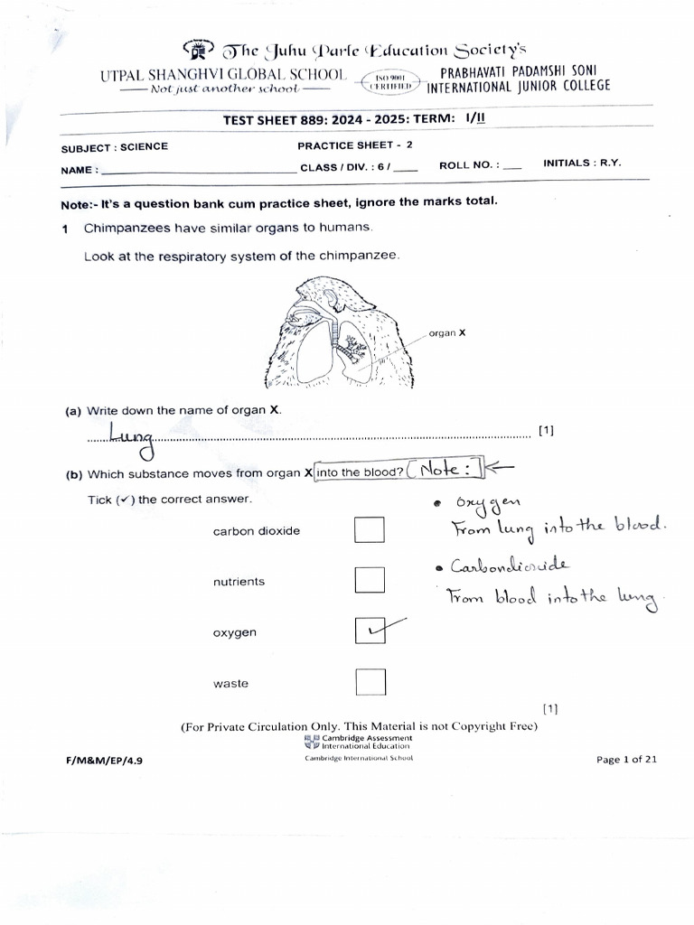 Checkpoint---Question-Bank--2---Answer-Key | PDF | Solar System | Rock ...