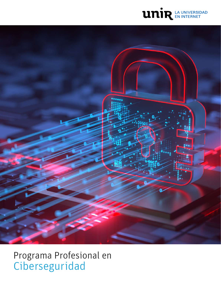 Programa Profesional en Ciberseguridad | PDF | La seguridad informática ...