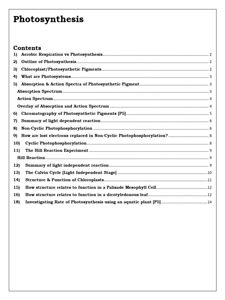 Comprehensive Guide to Photosynthesis | PDF | Photosynthesis | Chloroplast