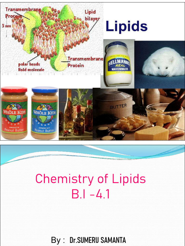 Understanding Lipids and Their Functions | PDF | Lipid | Triglyceride