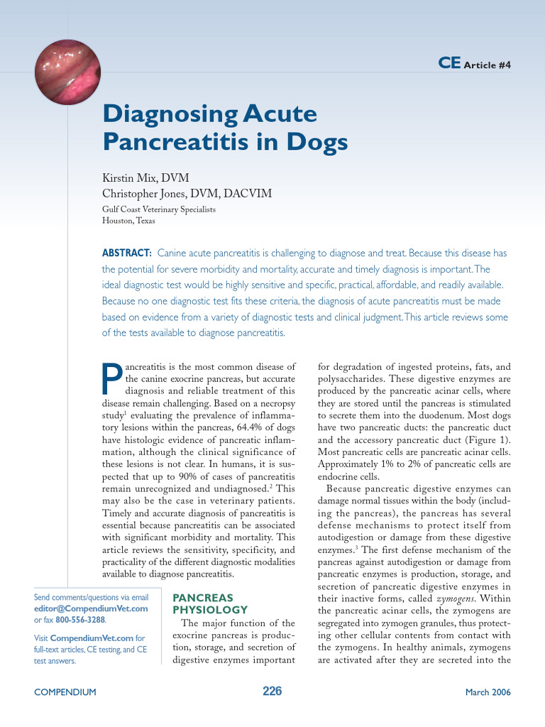22997 Dx Acute Pancreatitis in Dogs 032006compendium | PDF | Pancreas ...