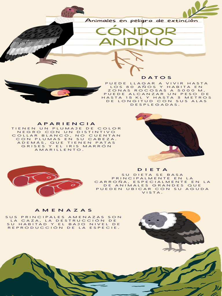 Amenazas del cóndor andino | PDF