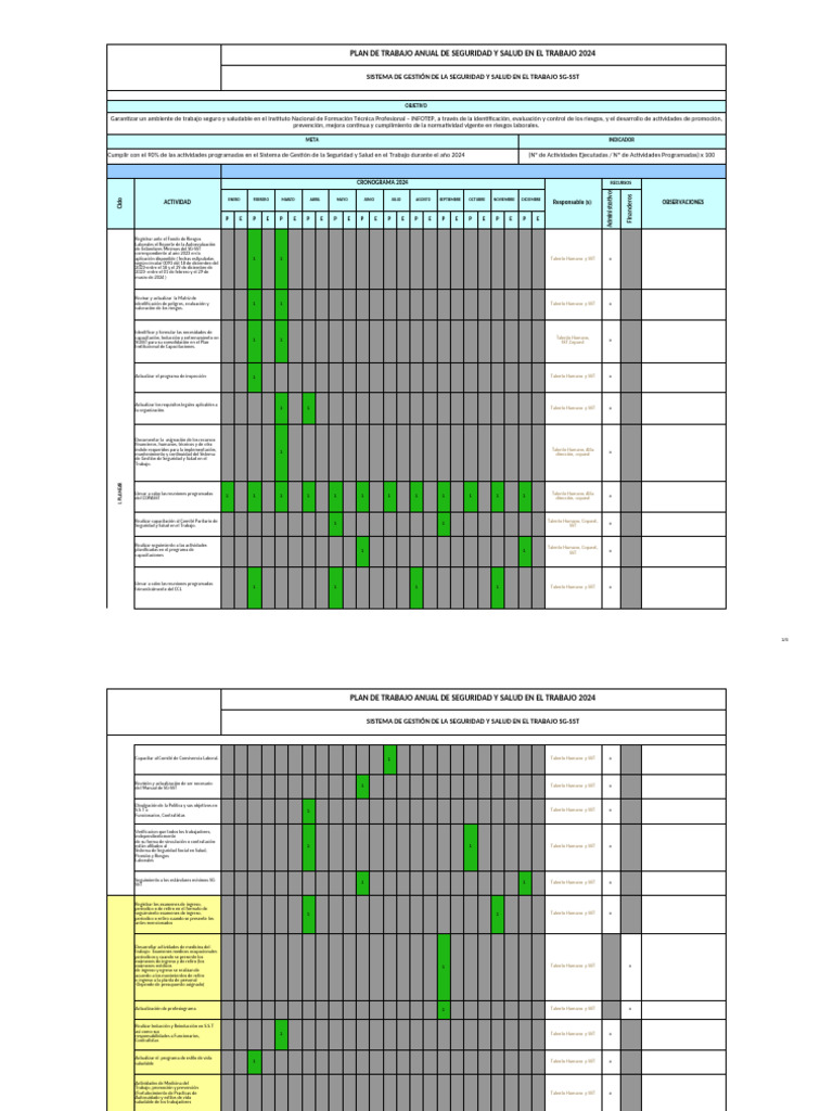 Plan Anual de Seguridad y Salud 2024 | PDF | Valores