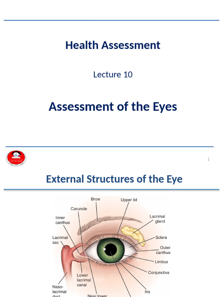 Eye Assessment Guide for Nursing Students | PDF | Visual Acuity | Human Eye