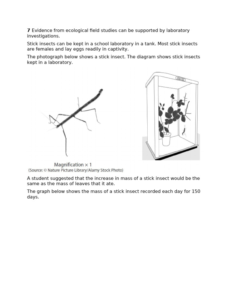 Stick Insect Ecology | PDF