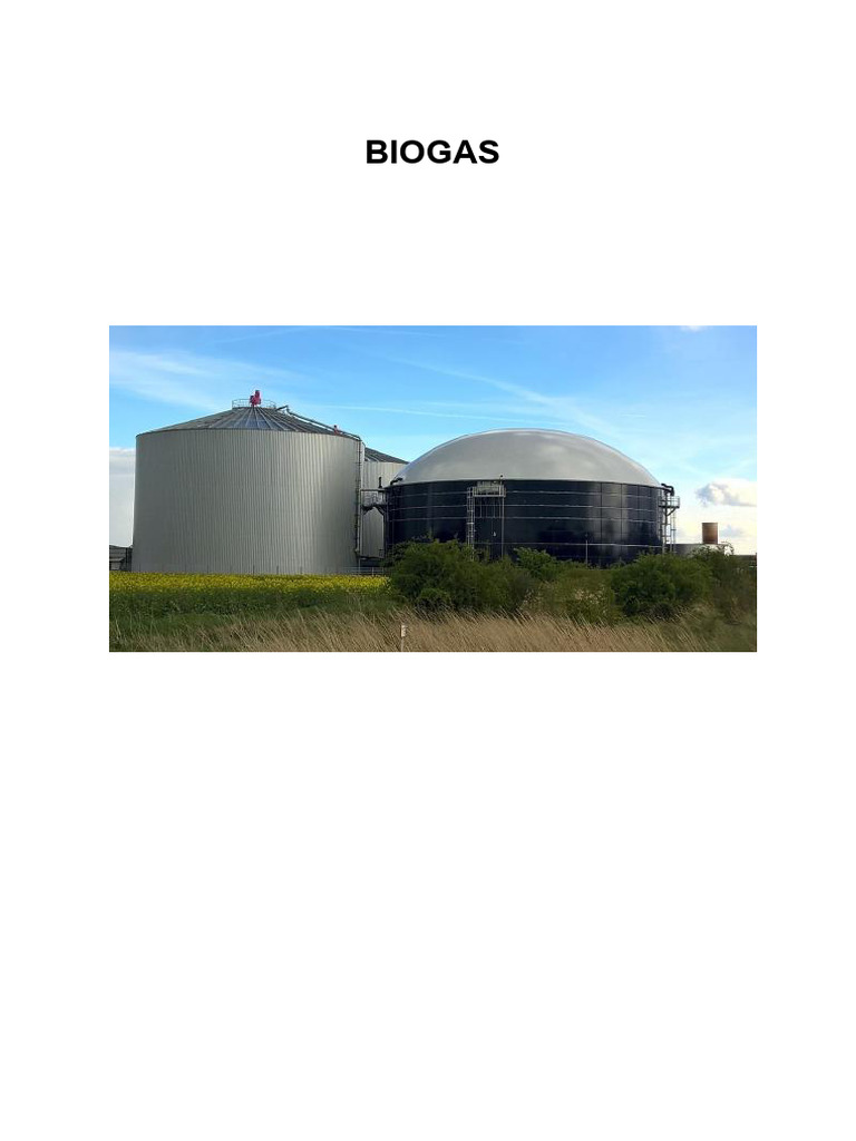 Guía Completa sobre Biogás y su Producción | PDF | Biogás | Gas natural