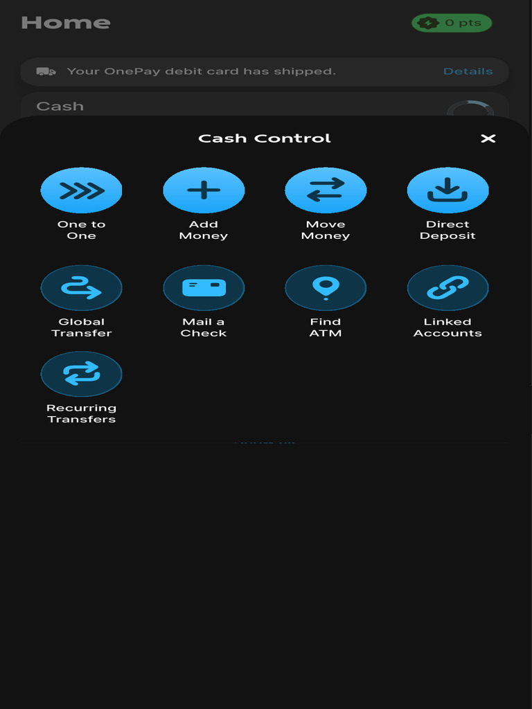 OnePay | PDF