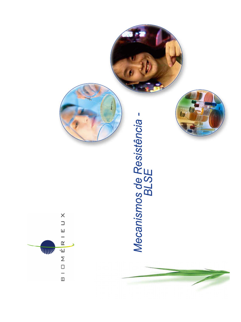 Blse | PDF