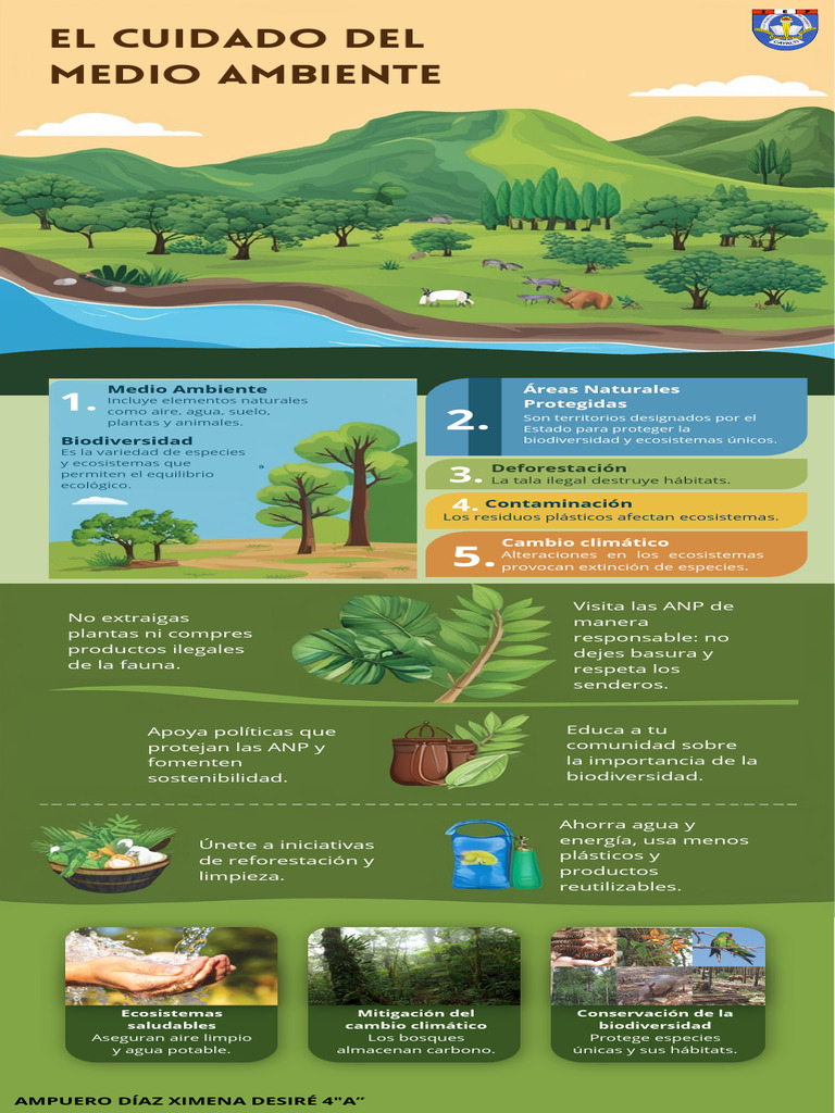 Cuidado Del Medio Ambiente | PDF | Biodiversidad | Entorno natural