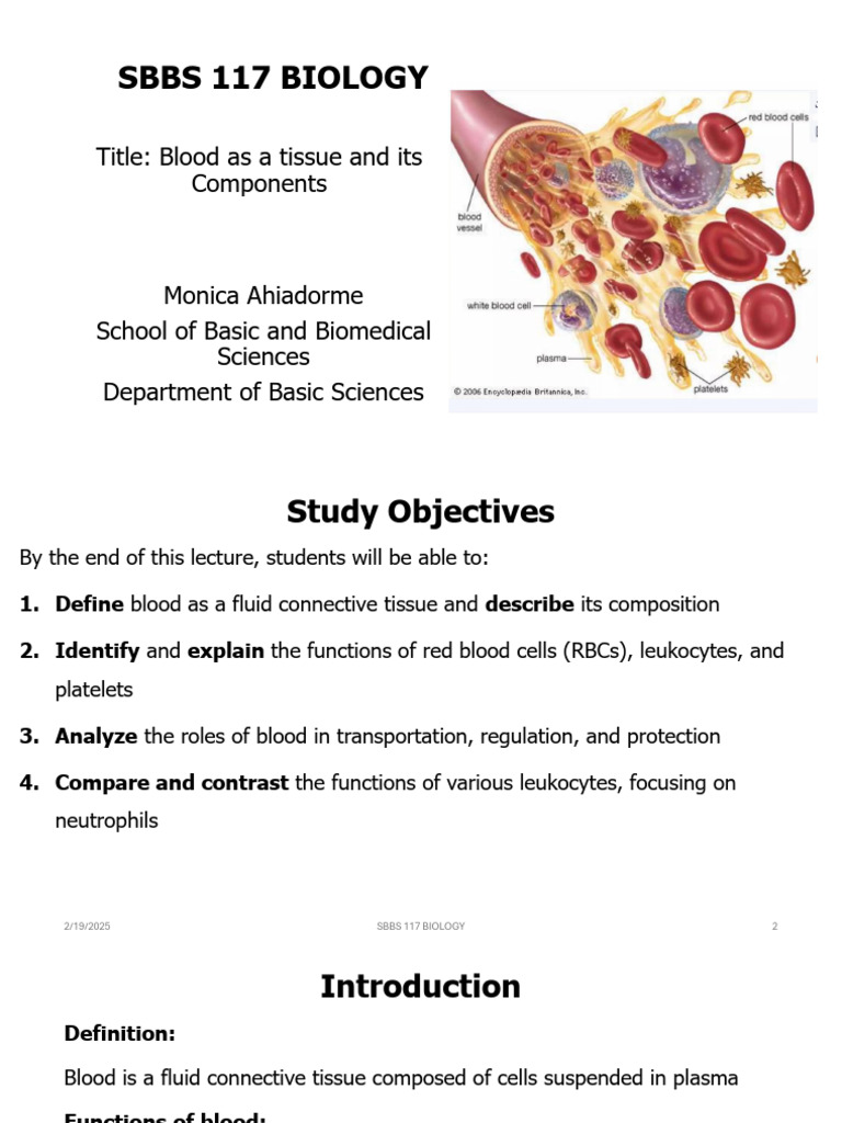 Blood Tissue: Composition & Functions | PDF | Granulocyte | Red Blood Cell
