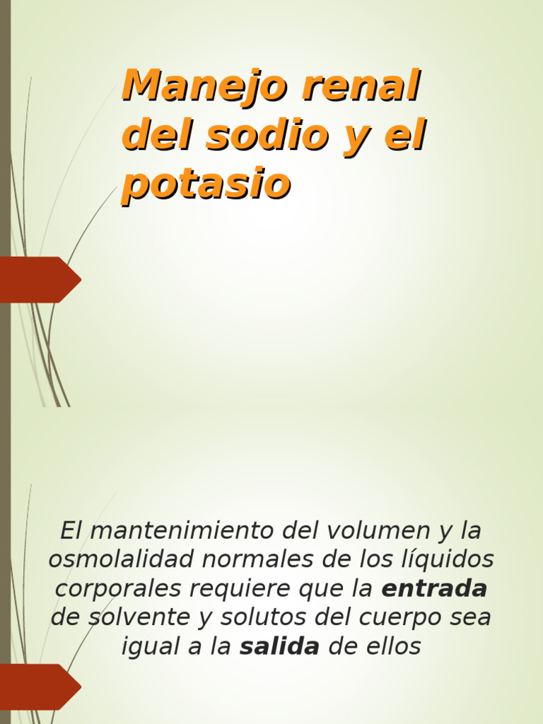 Manejo renal del sodio y potasio | PDF | Sodio | Angiotensina