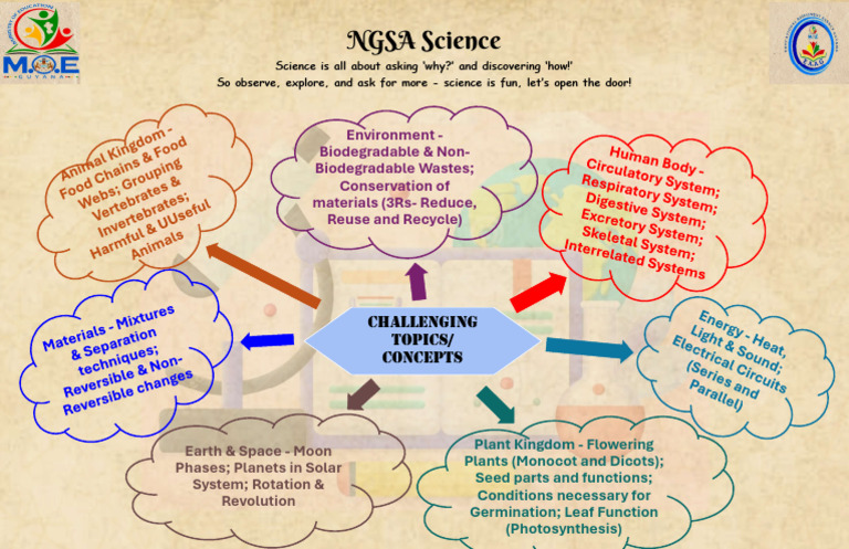 NGSA focus topic - Science | PDF