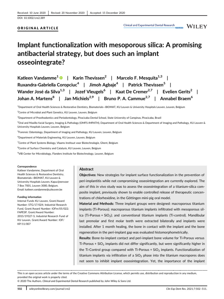 Implant Functionalization With Mesoporous Silica A Promising ...