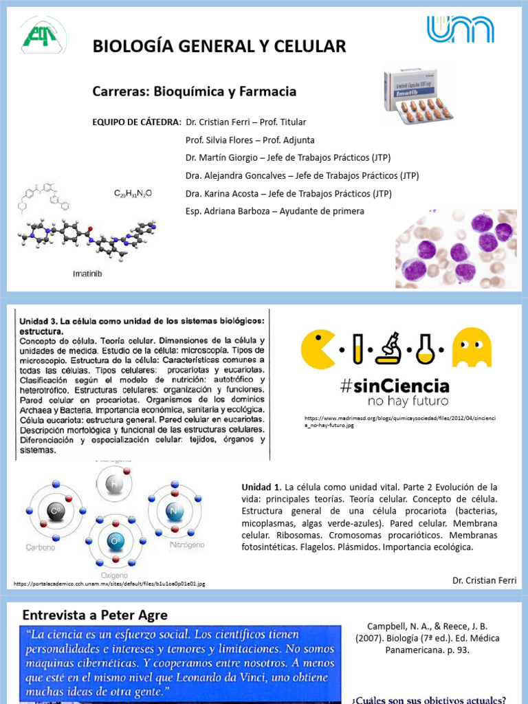 Clase 2 - Cèlula Procarionte Bqca. y Farmacia | PDF | Biología Celular ...