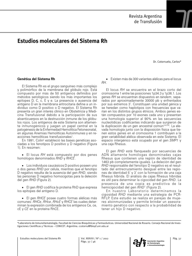 Estudios Moleculares Del Sistena RH | PDF | Gene | Anticuerpo