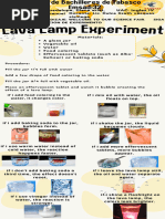Lava Lamp Experiment Overview | PDF