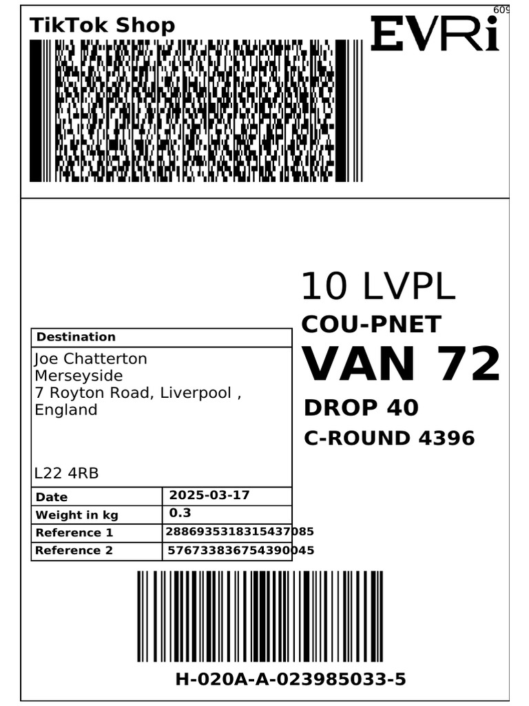 10-lvpl-cou-pnet-pdf