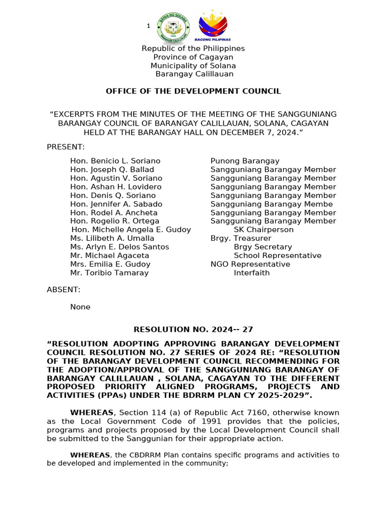 Barangay BDRRM Plan 2025-2029 Approval | PDF | Hazards | Emergency  Management