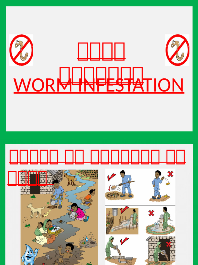 Worm Infestation | PDF