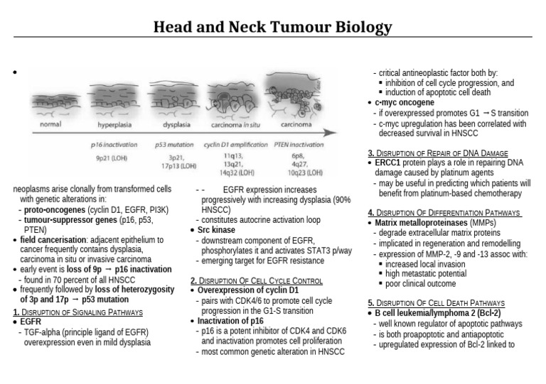 Head and Neck Tumour Biology | PDF | Epidermal Growth Factor Receptor ...
