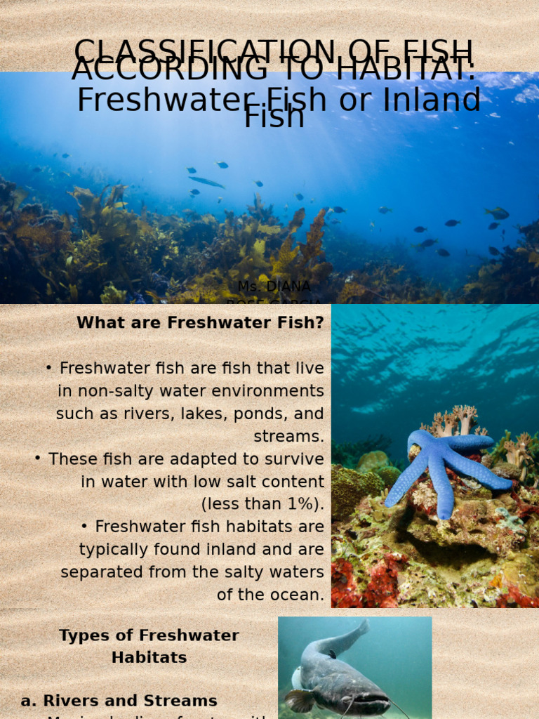 Freshwater and Brackish Fish Habitats | PDF | Estuary | Fish