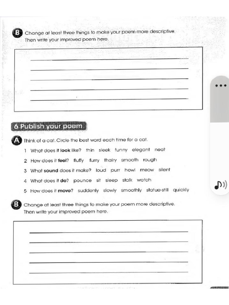Activity Book Pdf