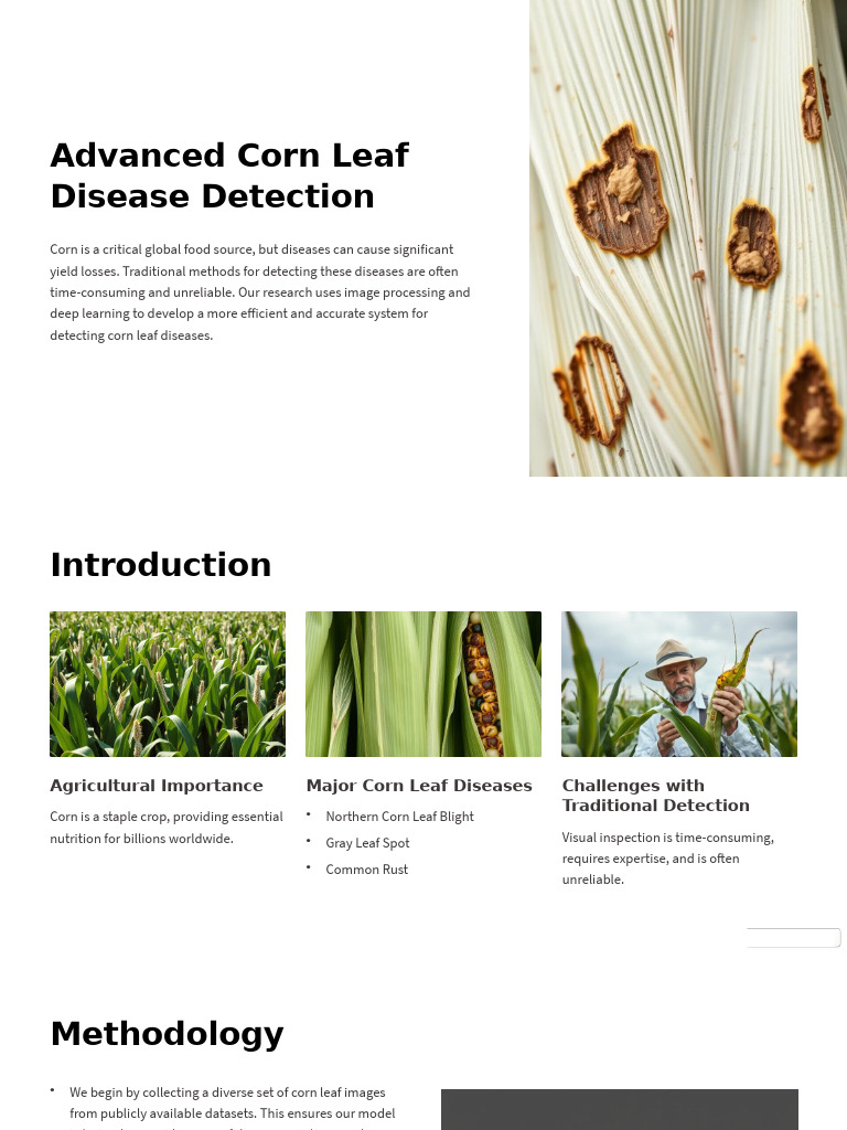 Advanced Corn Leaf Disease Detection | PDF | Deep Learning | Cognitive ...