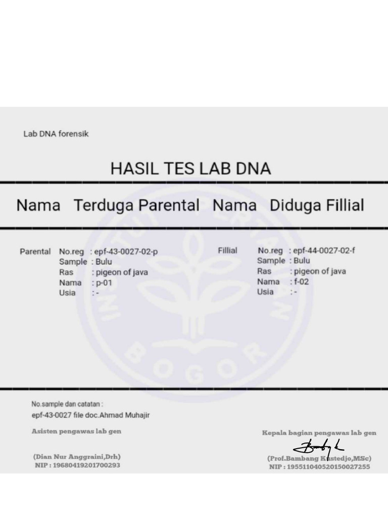 Scan Lab Asli - Edit - 1 | PDF