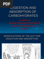 Experiment 5-Carbohydrate Estimation by Anthrone Method | PDF | Glucose ...