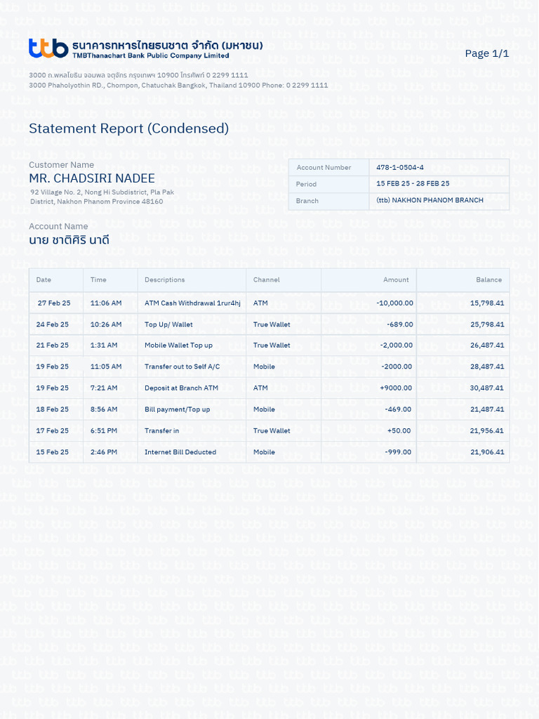 Account Statement Summary Report | PDF | Automated Teller Machine ...
