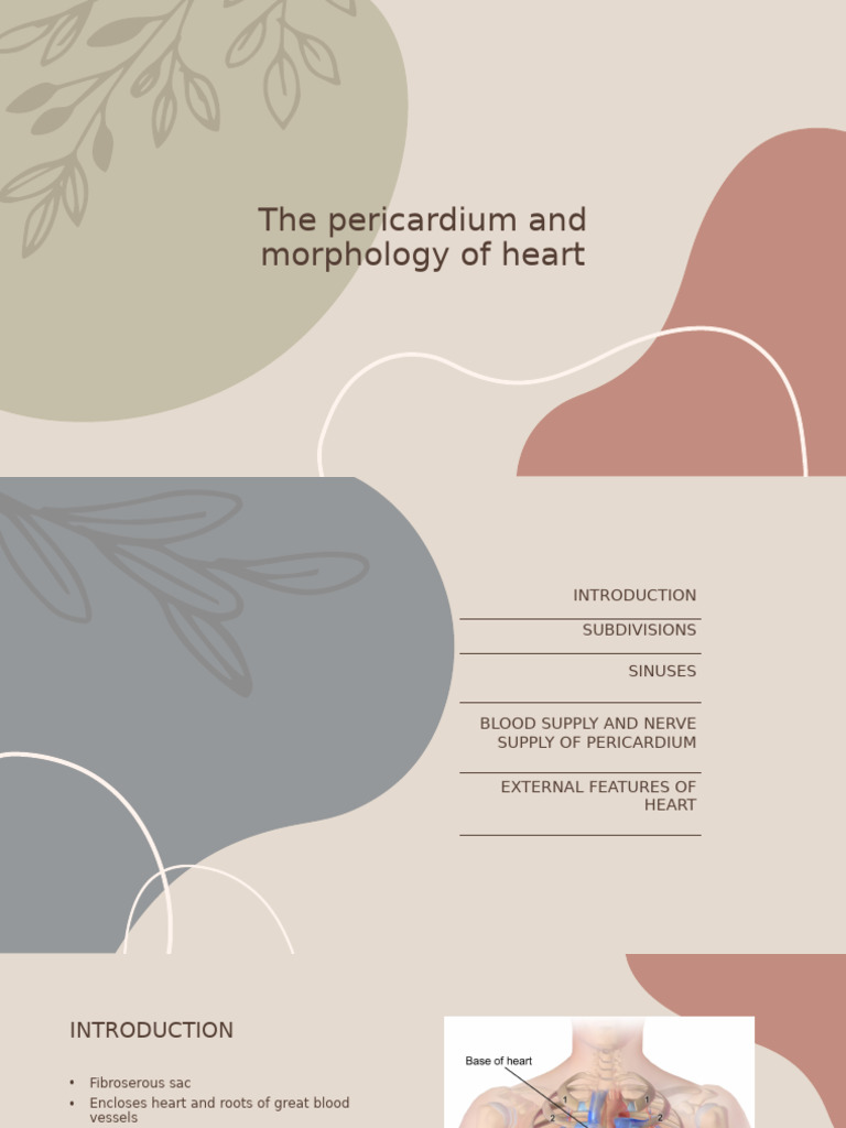 Pericardium Structure and Function | PDF | Heart | Coronary Circulation