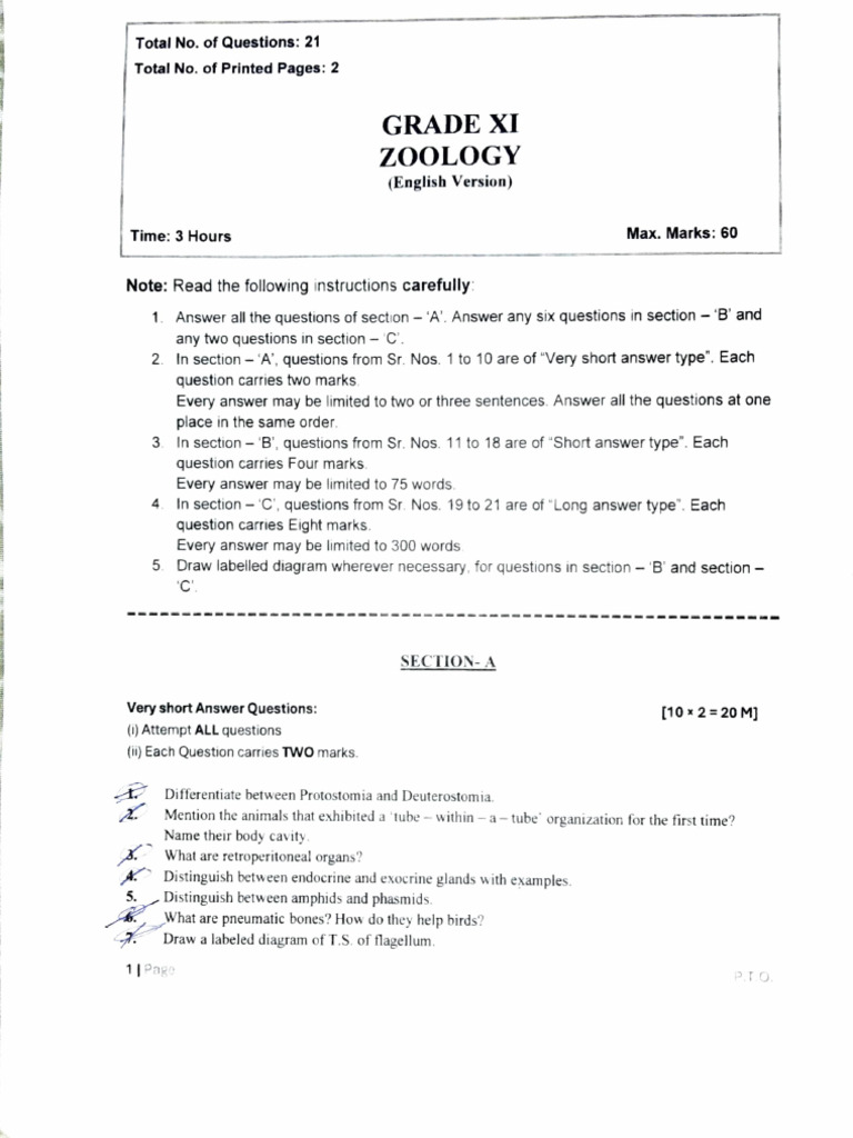 Ts 1st Year Intermediate Zoology Model Paper Pdf Biology Zoology